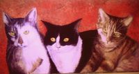Gemälde, Tierporträt, Katzen, Katzenbilder, gemalte Katzen